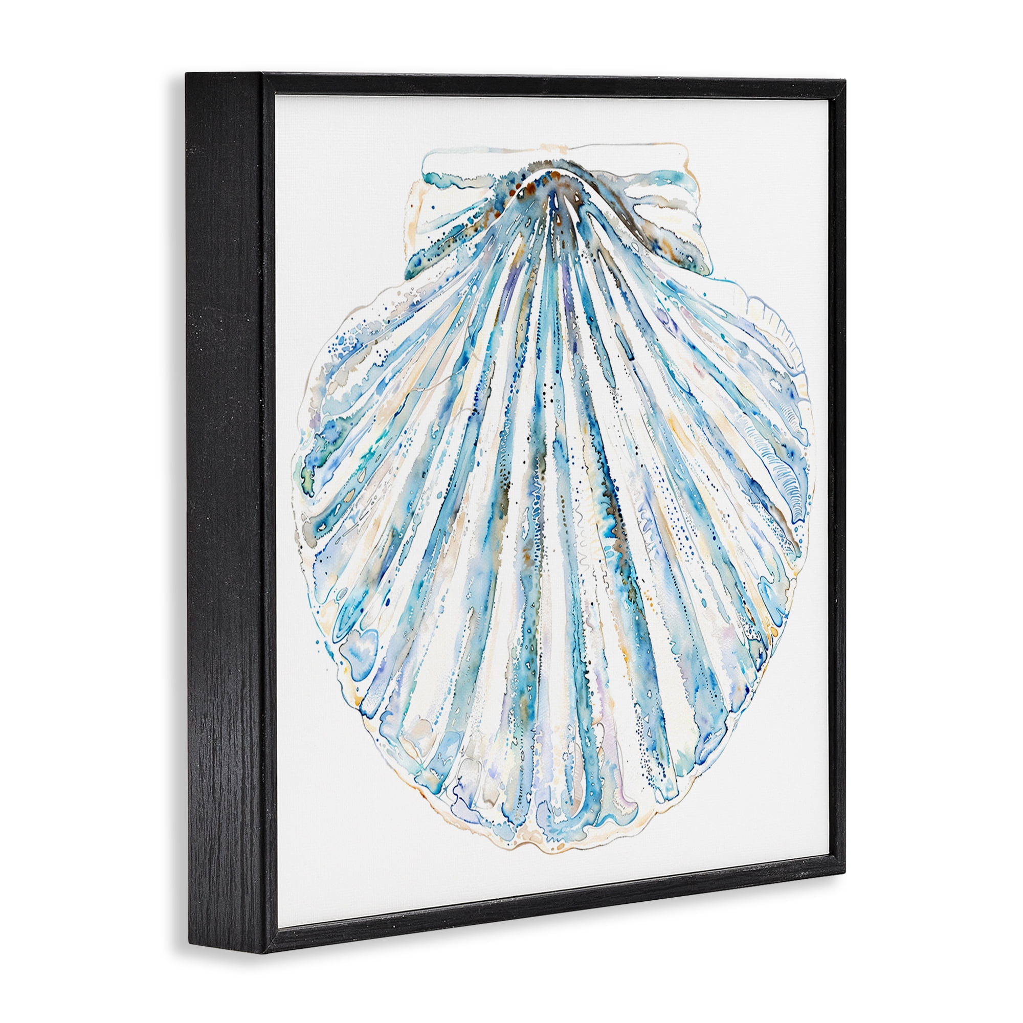 Stupell Industries Clam Shell on White Coastal Painting Black Framed Art Print Wall Art, 24 x 24