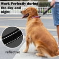 thumbnail image 5 of DMISOCHR Short Dog Leash with Comfortable Handle, Reflective Soft Nylon Heavy Duty Dog Leash for Training, Walking, 12", 18", 24" Short Lead Dog Leash for Small, Medium, Large Dogs, 5 of 5