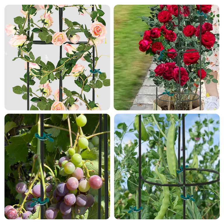 Wall Mounted Trellis 6.3 Ft Tall Metal Garden Obelisk Trellis - Plant  Support For Potted Climbing Vines Garden Obelisks