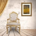 thumbnail image 3 of Lord, Fred 17x24 Gold Ornate Wood Framed with Double Matting Museum Art Print Titled - USA, Arizona, Tucson Desert sunset in Saguaro NP, 3 of 4