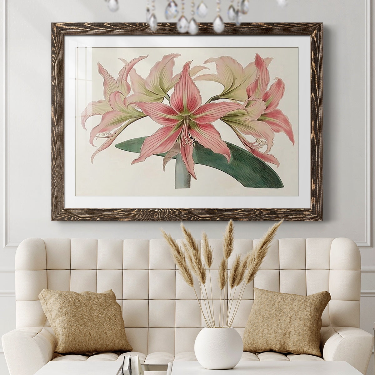 Amaryllis Varietals I-Premium Framed Print - Ready to Hang