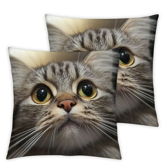 Shadudu Cute Cat Throw Pillow Cover Couch Pillow Case Square Outdoor Pillow Sofa Bed Lumbar Pillowcase Decorative X Inch 12x12in