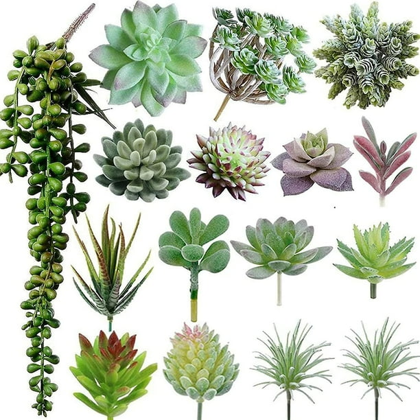 16 paquetes de plantas suculentas artificiales, plantas artificiales sin maceta, plantas falsas suculentas, plantas suculentas de imitación, plantas de cactus de imitación a granel, mini realista