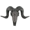 thumbnail image 2 of Curled Wall Sculpture, Crafts Sheep Skull Head Wall Decoration Wildlife Wall Statue Decor for Corridor Wall Artwork Macarena Estatua de pared de cabeza de oveja, 2 of 8