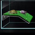 thumbnail image 3 of Plataforma de tortuga, plataforma de tortuga acuática terrestre para acuario, plataforma de rampa de tortuga, decoración de adornos de acuario kaili Sencillez, 3 of 5