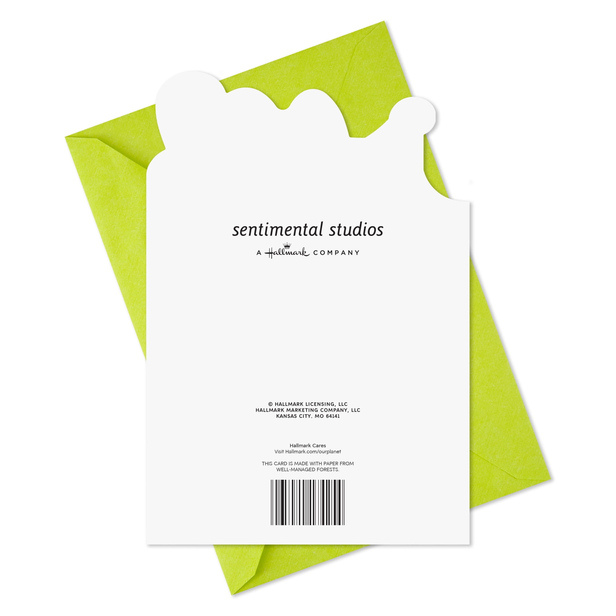 Hallmark Birthday Card for Kid (Your Special Day)