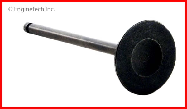 VALVE 1 INT NIS INF FOR