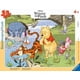 thumbnail image 1 of Puzle infantil Ravensburger Discover Nature Winnie, 47 piezas, 1 of 1