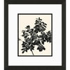 Azalea I Print