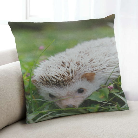 Ahgly Company Animals Hedgehog Indoor Throw Pillow, 18 inch by 18 inch