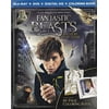 Pre-Owned - Fantastic Beasts And Where To Find Them (2016)