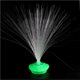 thumbnail image 5 of Injueey Luz de noche de fibra óptica LED, lámpara colorida, luz nocturna de ambiente relajante, centro de Interior, adornos para interiores y Iluminación y accesorios, 5 of 6