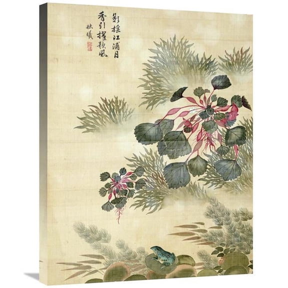 30 in. Water Caktrios & Frog Art Print - Ma Yuanyu