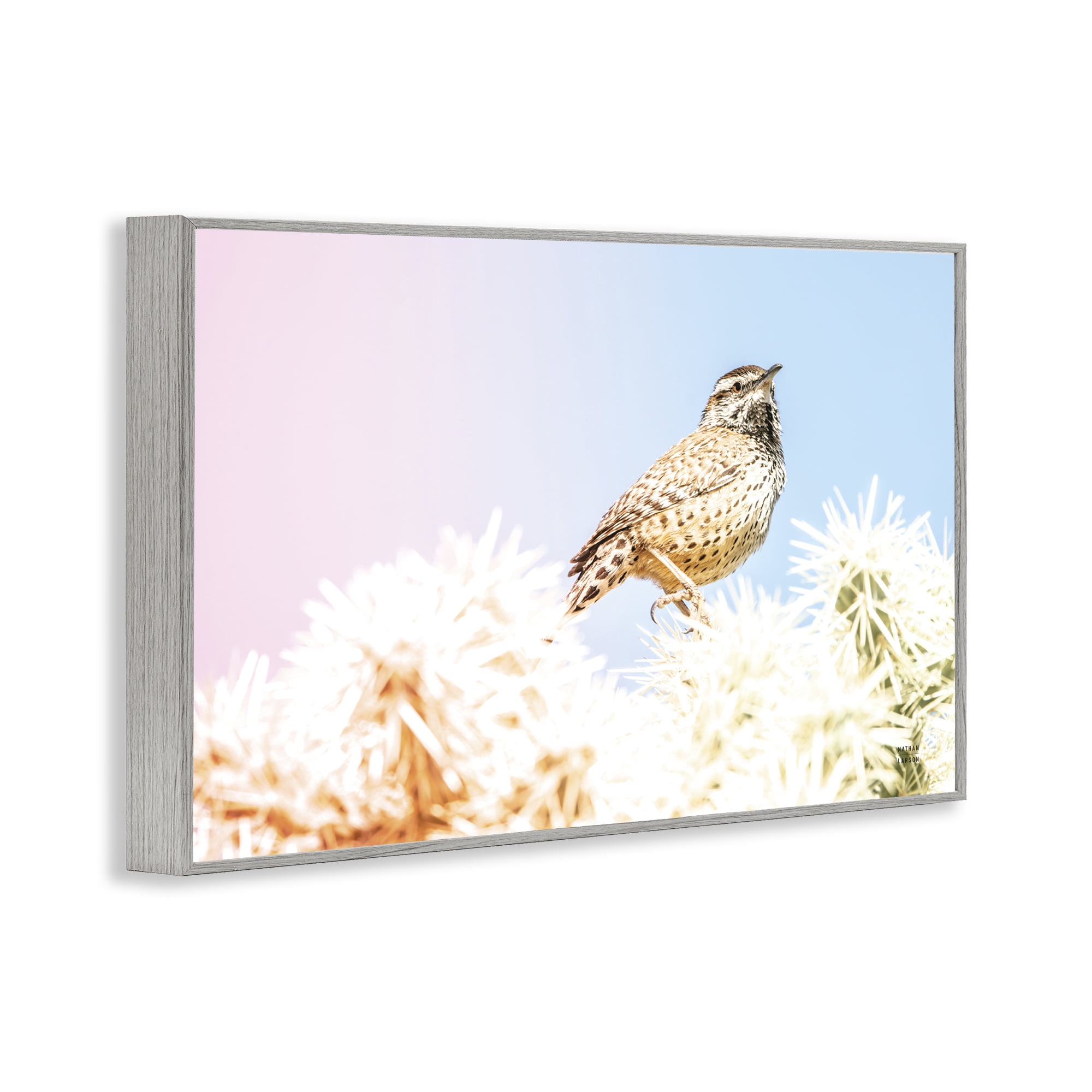Stupell Industries Desert Song Bird Gray Framed Giclee Art, design by Nathan Larson