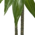 thumbnail image 4 of Nearly Natural Green 48" Dracaena with Basket Artificial Plant (Real Touch), Green, 4 of 4