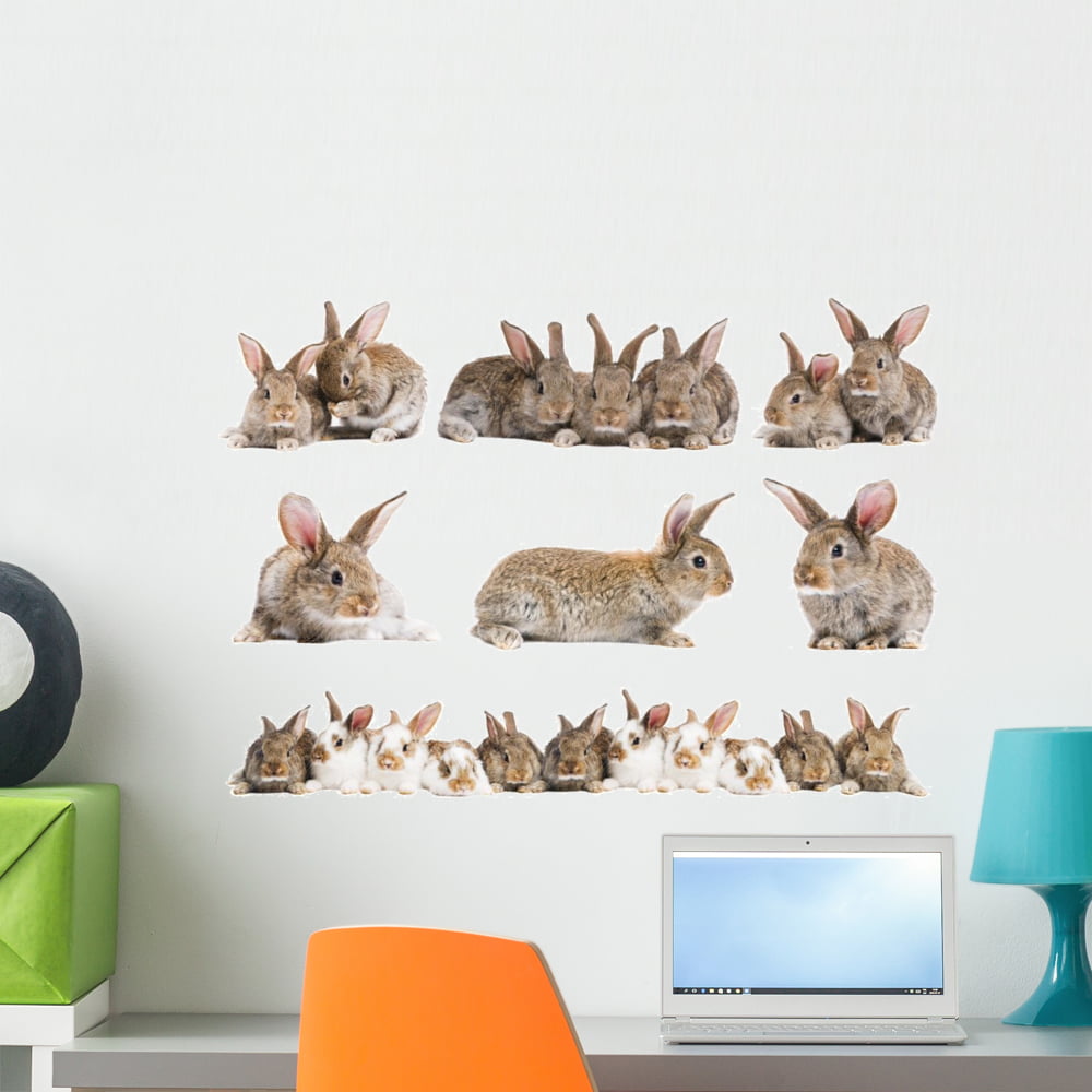 Set Brown Baby Rabbits Wall Decal by Wallmonkeys Peel and Stick Graphic ...