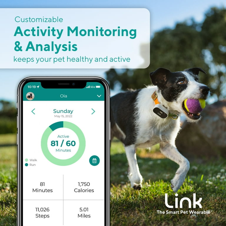 Link My Pet GPS Dog Tracker & Activity Monitor with Training Tools, Fi