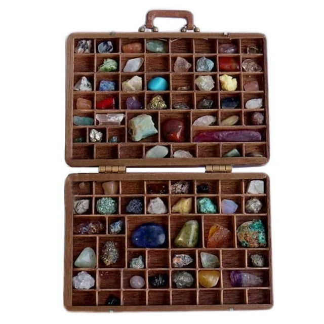 Boîte de Collection de Roches pour Enfants Kit de Roches et de Minéraux Inclus s et Cristaux Trousses Scientifiques Éducatives