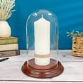 thumbnail image 2 of Plymor 4" x 7" Small Glass Display Dome Cloche (Walnut Veneer Base), 2 of 4