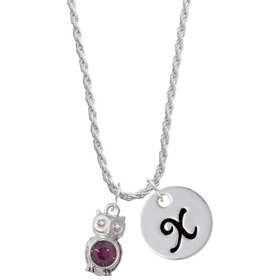 Delight Jewelry Silvertone 3-D Purple & AB Crystal Owl Silvertone Script Initial Disc - X - Charm Necklace, 20"+3"