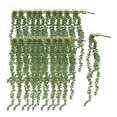 thumbnail image 1 of 20 Plantas Suculentas Colgantes Macarena de Pared de Cadena de Perlas de Flores Artificiales, 1 of 8