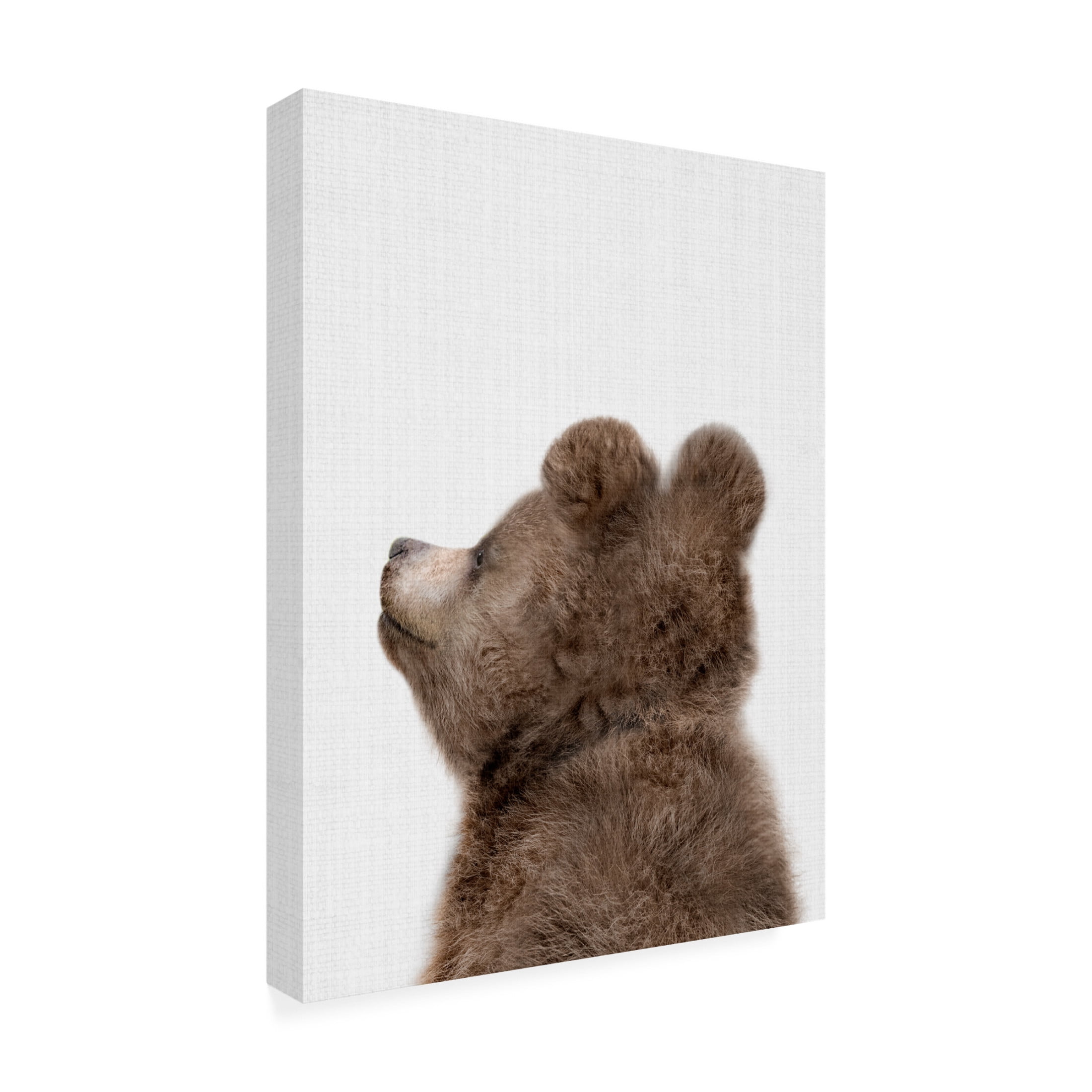Trademark Fine Art Lola Peacock Peekaboo Baby Bear Back Canvas Wall Art