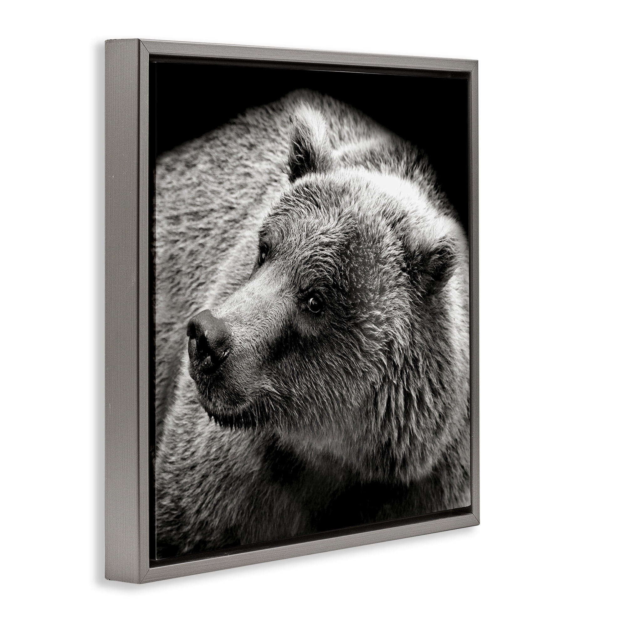 Stupell Industries Bear Looking Left Animals & Insects Photography Gray Floater Framed Canvas Art Print Wall Art, 25 x 25