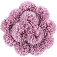 thumbnail image 1 of Bolsa de cabeza de flor de seda de hortensia blanca, 12 piezas, hortensia artificial para decoración de bodas, fiestas en el hogar, tiendas y baby shower, 1 of 7