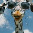 thumbnail image 5 of SHERONV Giraffes Sunglasses Humor Shower Curtain for Bathroom Decor with Hooks 60"x72, 5 of 7