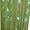 Green, variant on ZiDeTang Beaded Door Curtain Tassel Room Divider Curtain Color Purple