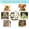 thumbnail image 5 of WLGJL 12 PCS Hamster Toys Set, Guinea Pig Toys Small Animal Chewing Toy and Rat Cage Accessories, Chinchillas, Gerbils, Rats, Rabbit Rodents Teeth Care, Mouse Toy Swing Seesaw Bridge, 5 of 7