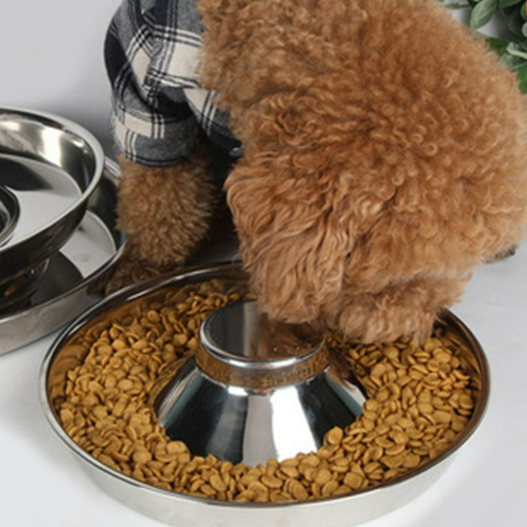 Puppy Bowls, Stainless Steel Puppy Feeder Bowl, Dog Food and Water