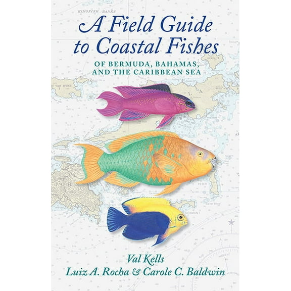 A Field Guide to Coastal Fishes of Bermuda, Bahamas, and the Caribbean Sea, (Paperback)
