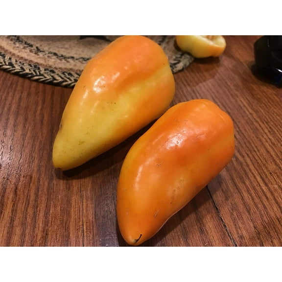 Alba Regia Pepper Premium Seeds Packet