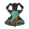 thumbnail image 4 of Lsque Retro Birds Dog Harness, No-Pull Pet Harness with 2 Leash Clips, Adjustable Soft Padded Dog Vest with Easy Control Handle for Large Dogs-Medium, 4 of 9