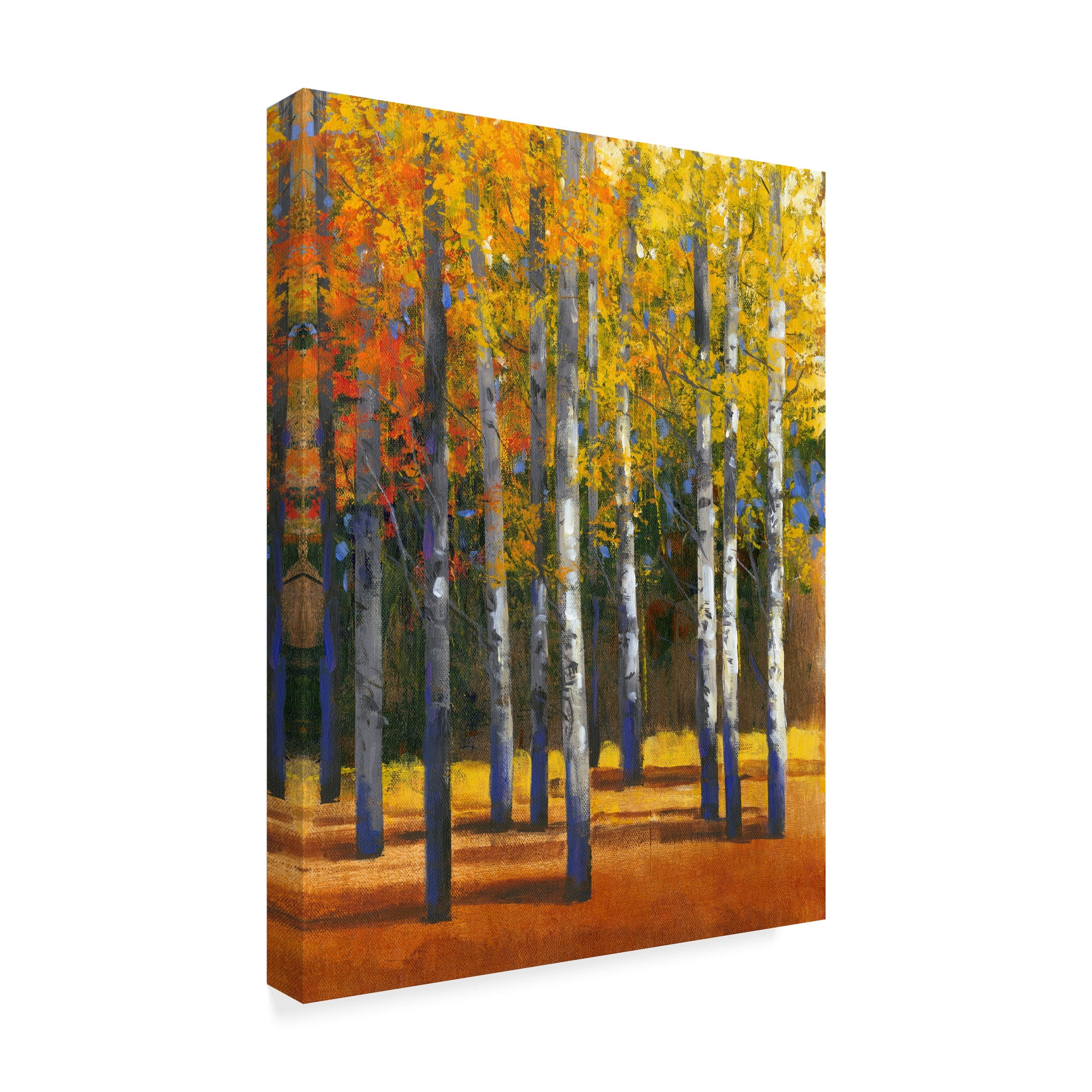 Trademark Fine Art 'Fall in Glory I' Canvas Art by Tim OToole