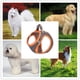 thumbnail image 5 of Ves reflexivo del animal doméstico de la correa del pecho de la cuerda de la tracción del perro reflexivo de la visión nocturna, 5 of 5