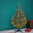 thumbnail image 2 of Northlight Green Metal Live Christmas Tree Stand - For Trees up to 9ft Tall, 2 of 2
