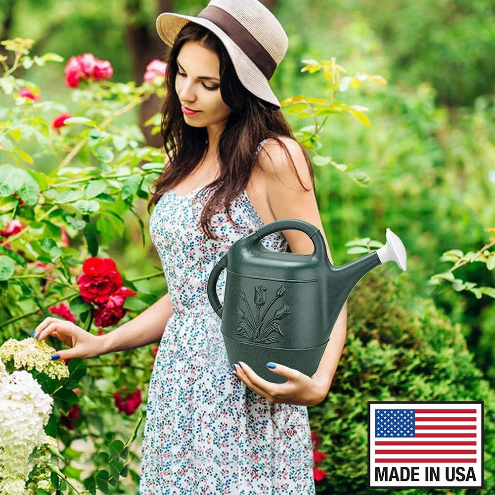 Novelty 2 Gallon Watering Can - Hunter Green 1/Pkg Pkg/6 — Residential Use, Standard Application