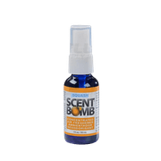 Scent Bomb Air Freshener Spray, 100 % Oil Based Concentrated Air Freshener, Air Freshener Spray for Car, Room, Bathroom and Odor Eliminator, Squash