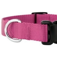 thumbnail image 5 of Country Brook Design&reg; Deluxe Nylon Dog Collar and Leash, 5 of 6