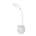 CaiTeLin Small Desk Lamp Students Eye Care Special Reading Light Night