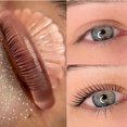 thumbnail image 2 of Almohadillas elevadoras de pestañas Shields Liber Beauty 2025, silicona sin pegamento, 2 of 7