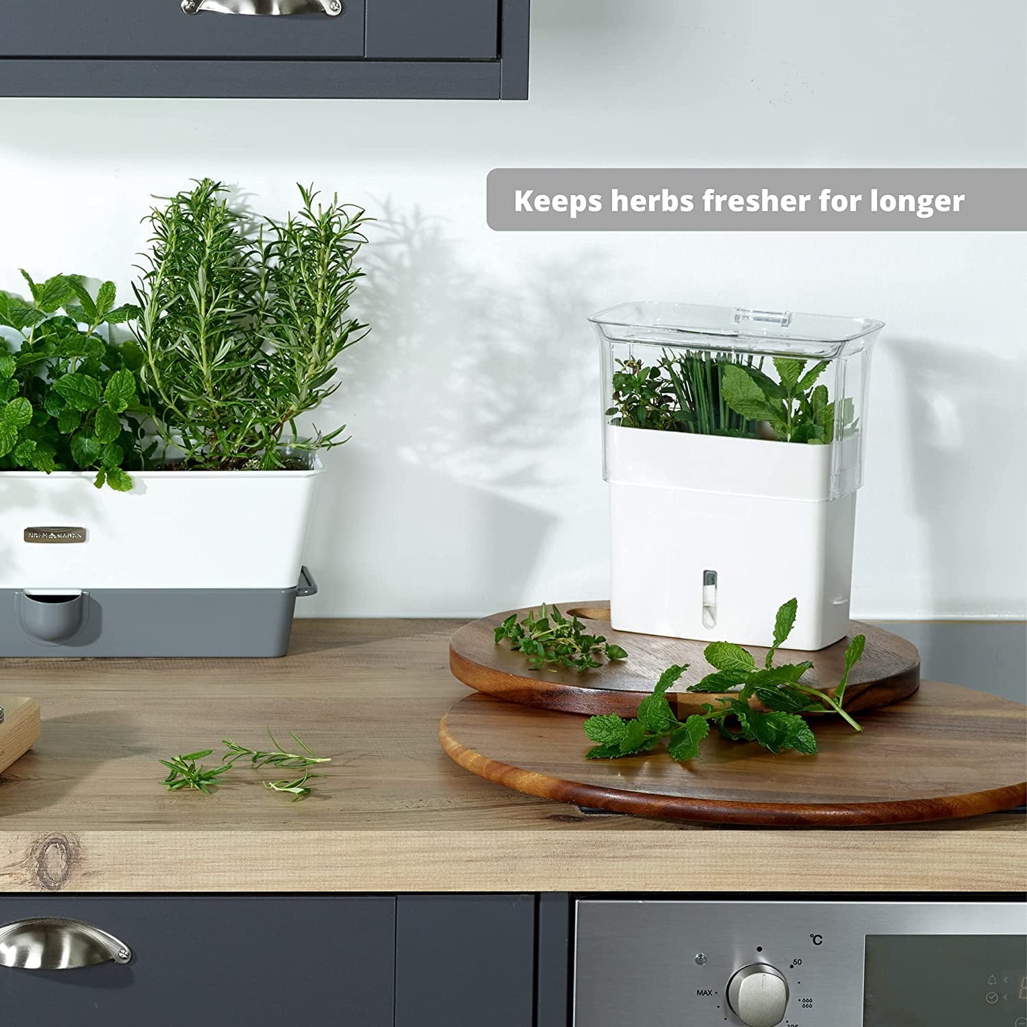 Cole & Mason Herb Saver Container with Dividers | Clear Acrylic Pod for Fridge | Keeps Herbs Fresh Longer