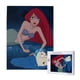 thumbnail image 1 of Rompecabezas de madera de 500 piezas de Ariel: adecuado para niños y adultos, rompecabezas para niños y niñas, juguetes de juego de entretenimiento con rompecabezas. Talla única, 1 of 8