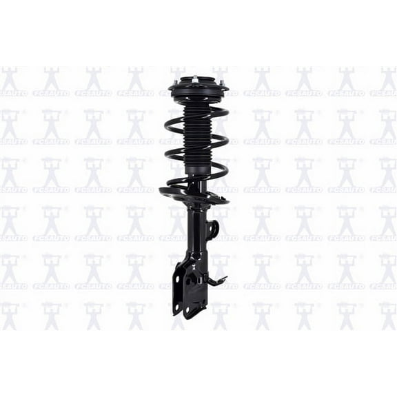 Suspension Strut and Coil Spring Assembly