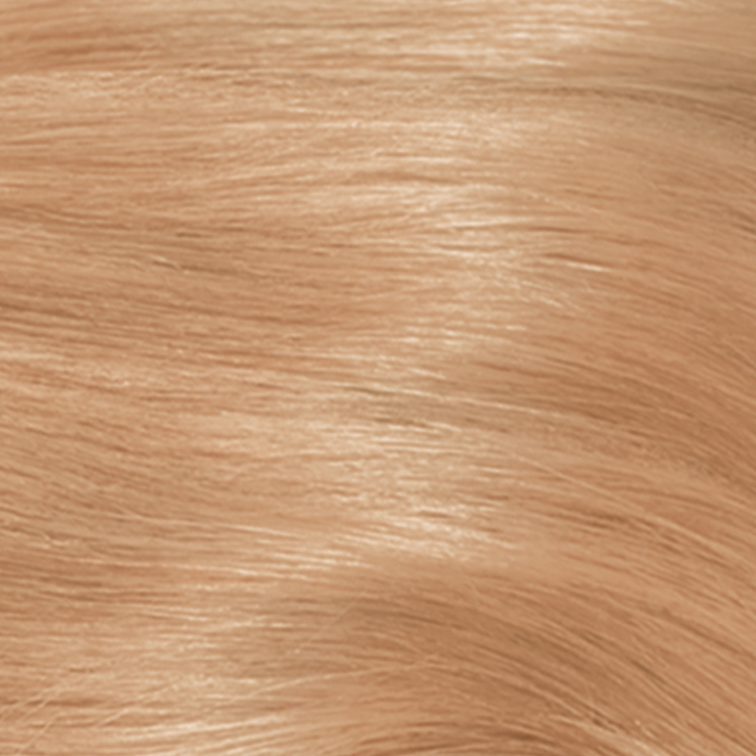 Warm Golden Blonde