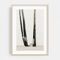 thumbnail image 2 of Three Palms - Los Angeles California Photography Palm Tree Beach Minimalist Coastal Vintage Desert Ocean Unframed Wall Art Print 16 x 24 inches, 2 of 60