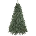 thumbnail image 2 of Northlight 7.5' Pre-Lit Colorado Blue Spruce Artificial Christmas Tree, Clear Lights, 2 of 7