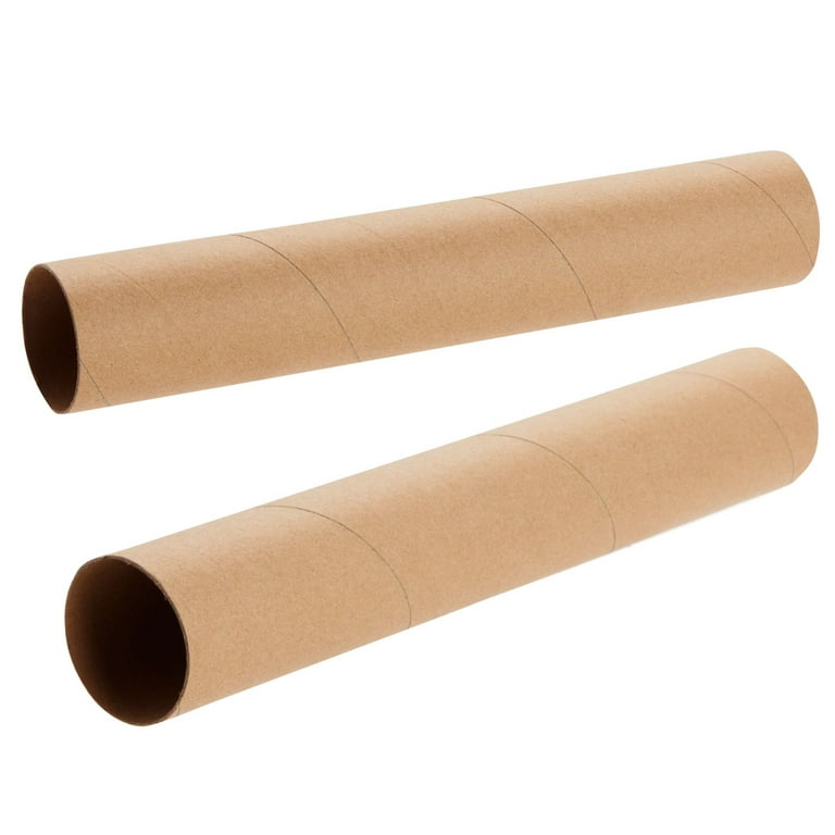 12 Pack White Cardboard Tubes for Crafts, Empty Paper Towels Rolls for DIY  Art Projects (1.7 x 10 Inches)